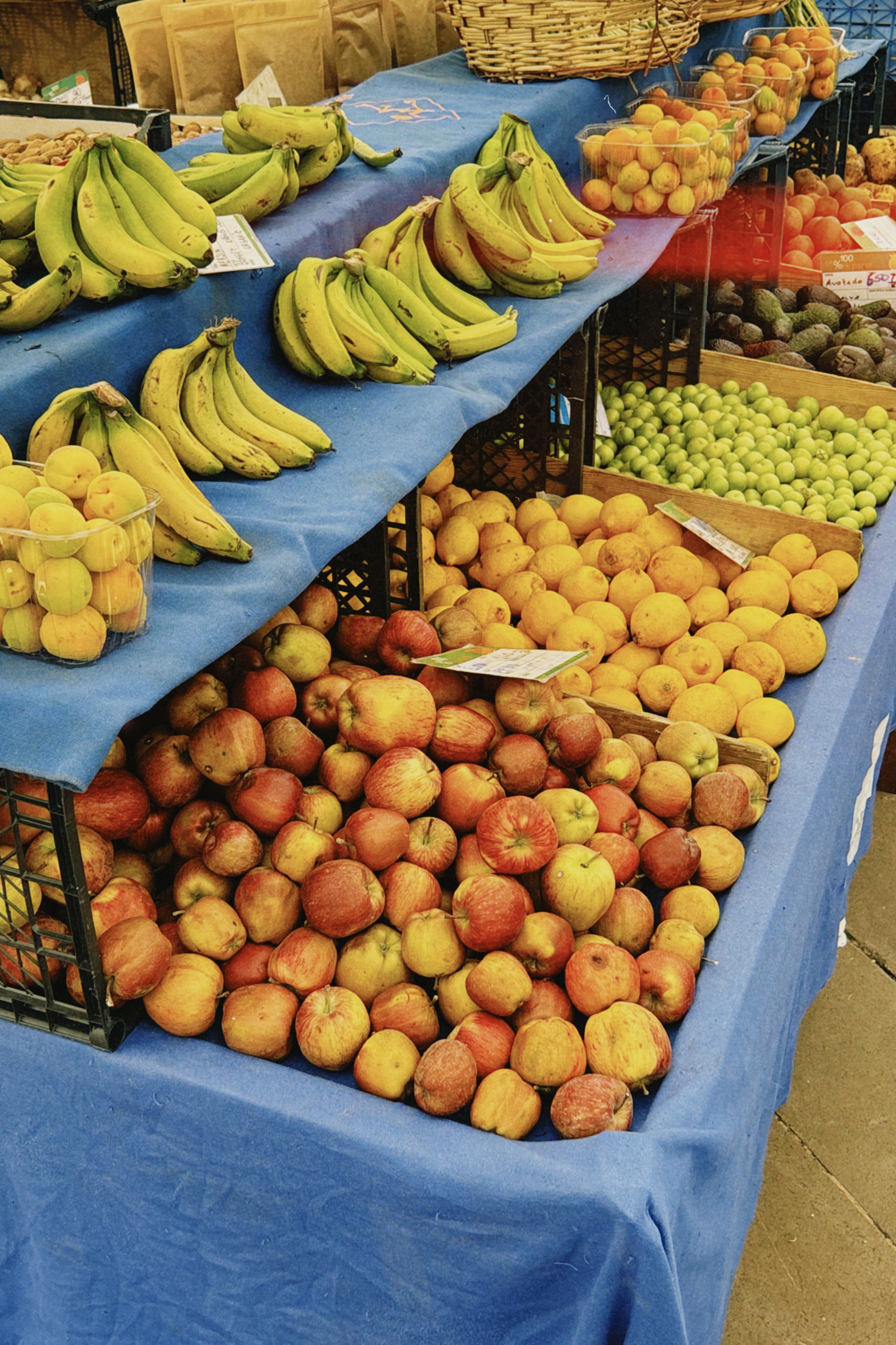 Fresh colourful fruits