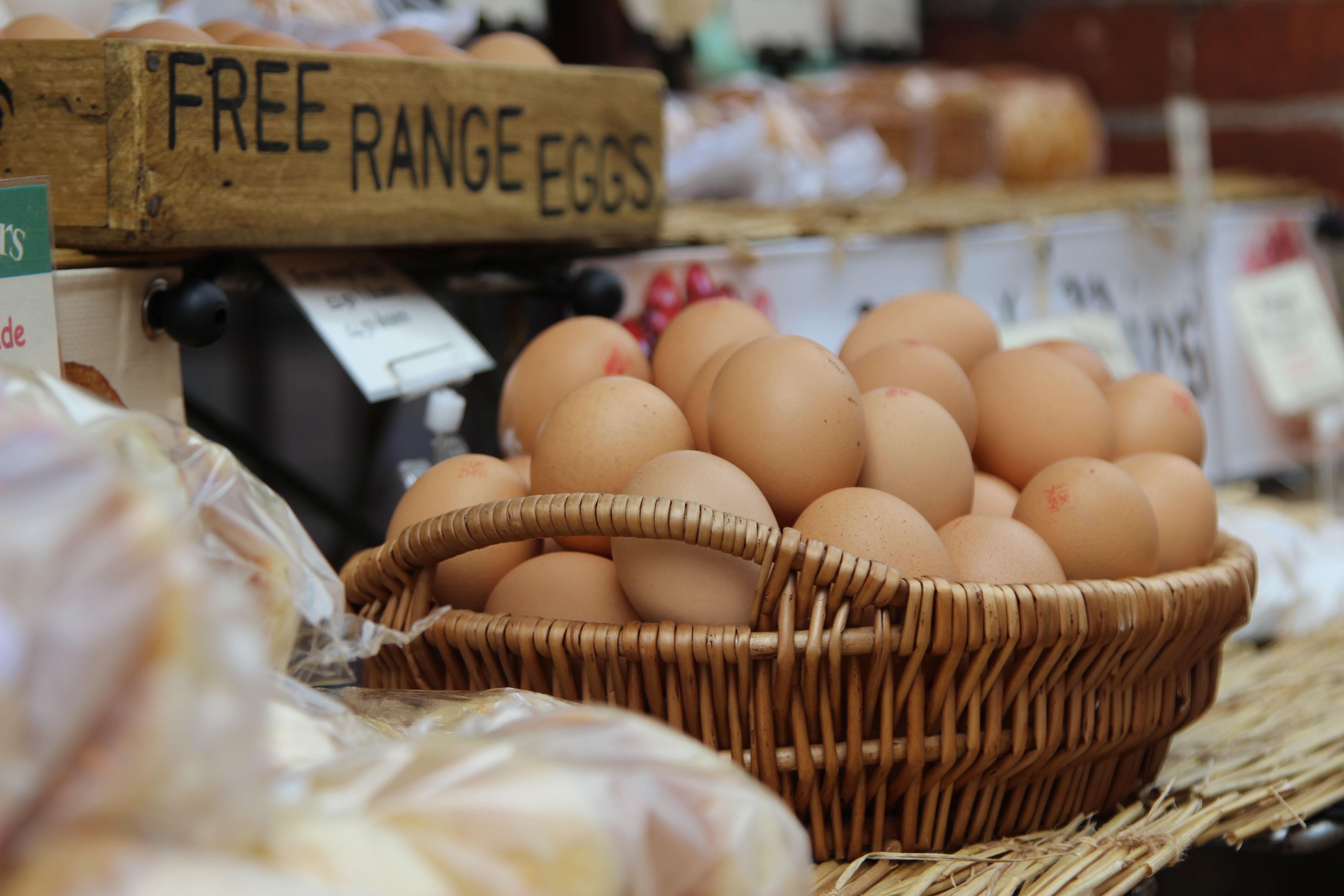 Poultry and eggs
