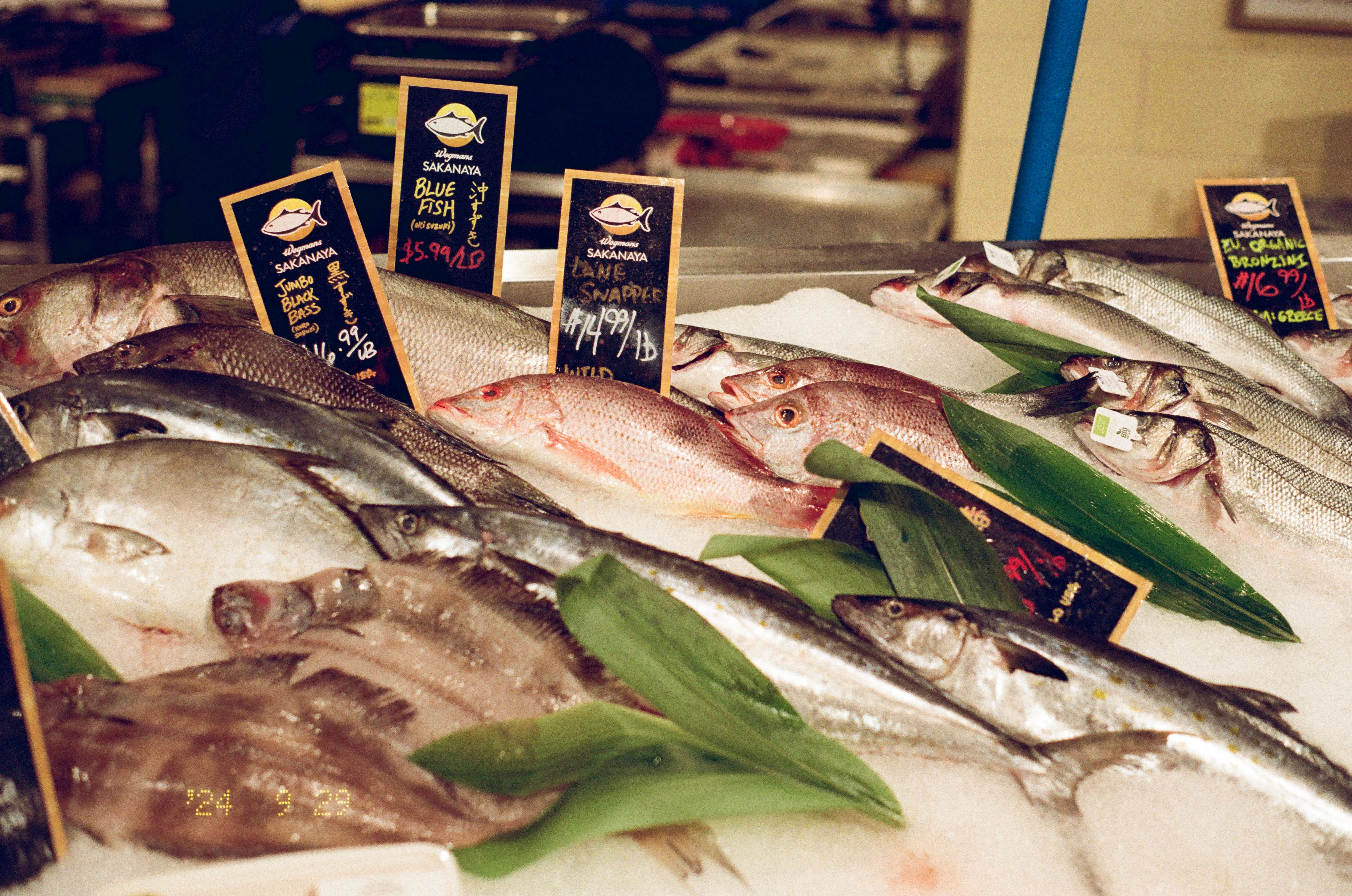 Fresh seafood on display