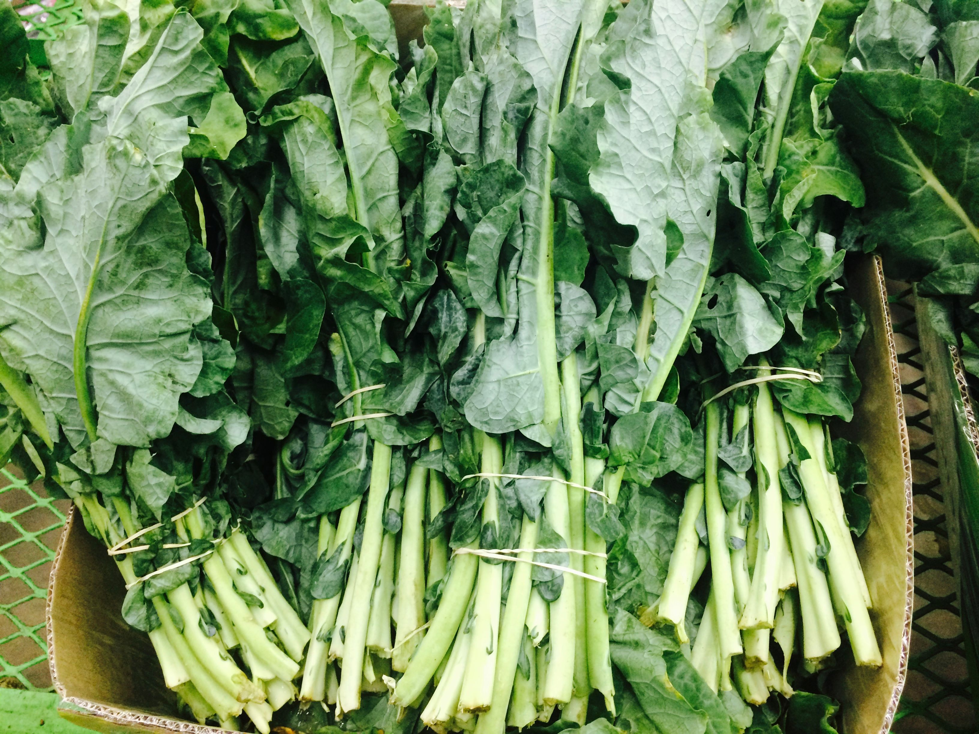 Fresh leafy vegetables
